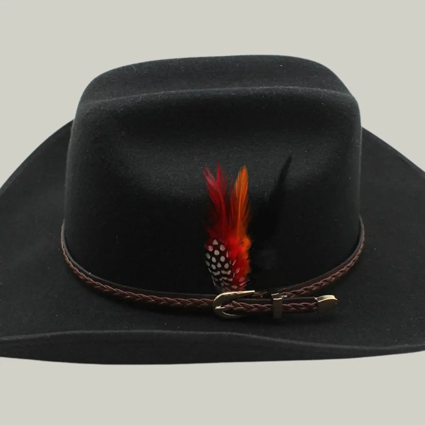 Chapeau Cowboy Noir Homme Plume Rouge et Noire Maison Shelby