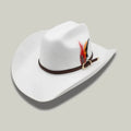 Chapeau Cowboy Blanc Mixte Feutre Plume Rouge et Noire
