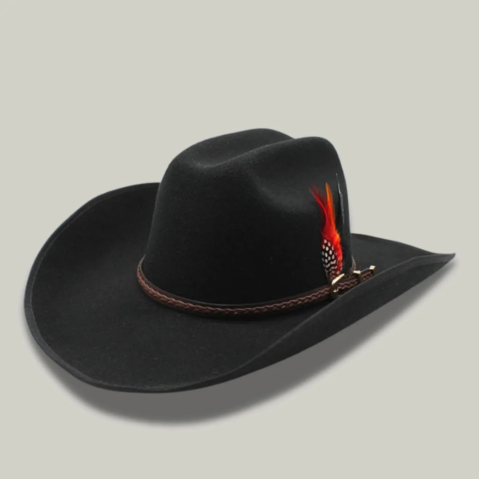 Chapeau Cowboy Noir Homme Plume Rouge et Noire Maison Shelby